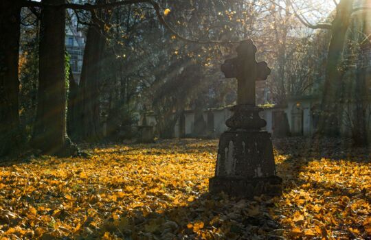 Kreuz mit Herbstlaub in der Abendsonne (Foto: Pexels, pixabay)