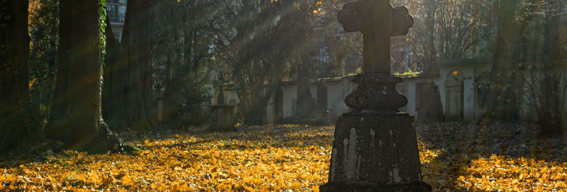 Kreuz mit Herbstlaub in der Abendsonne (Foto: Pexels, pixabay.com)