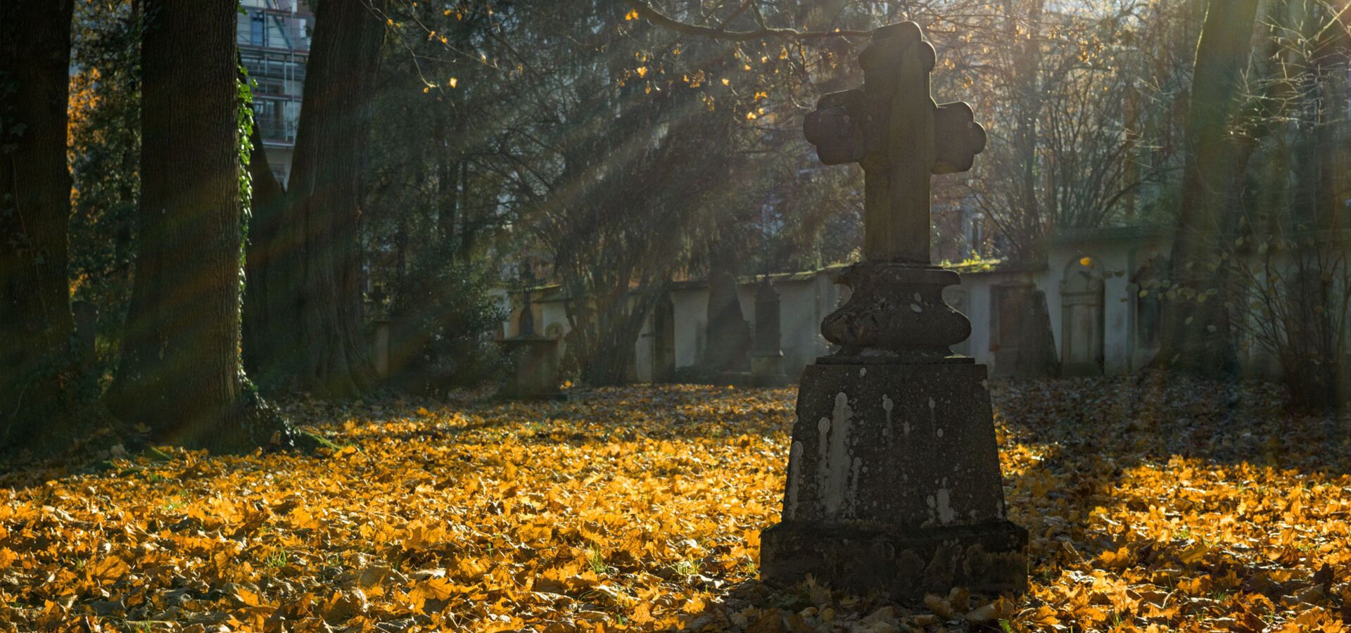 Kreuz mit Herbstlaub in der Abendsonne (Foto: Pexels, pixabay)